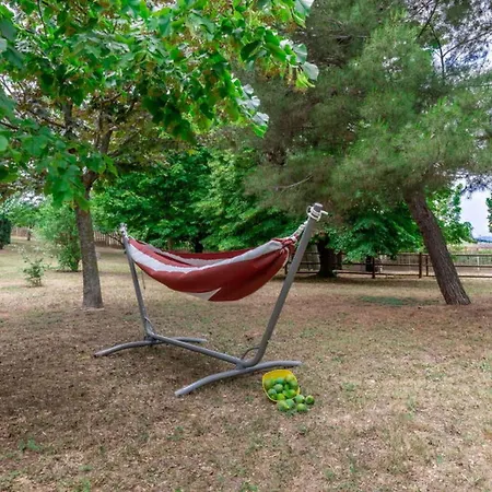 Rosso Corbezzolo By Interhome Carassai